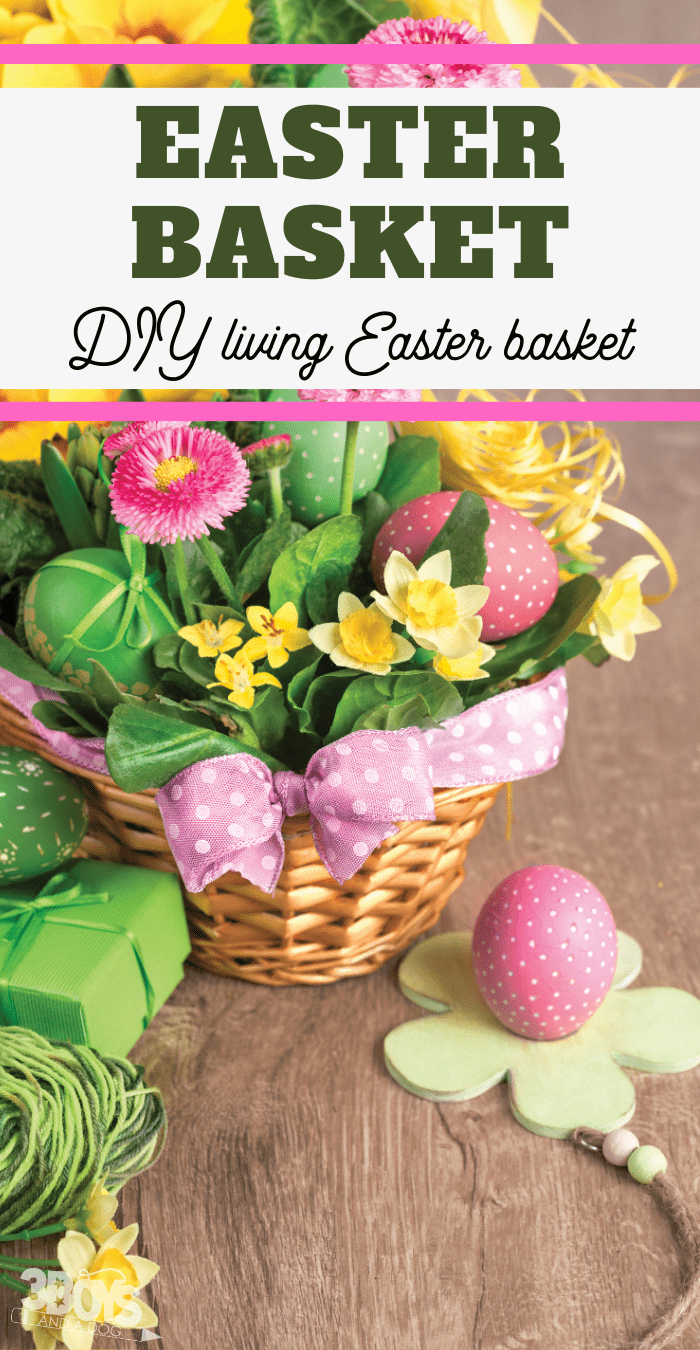 living basket